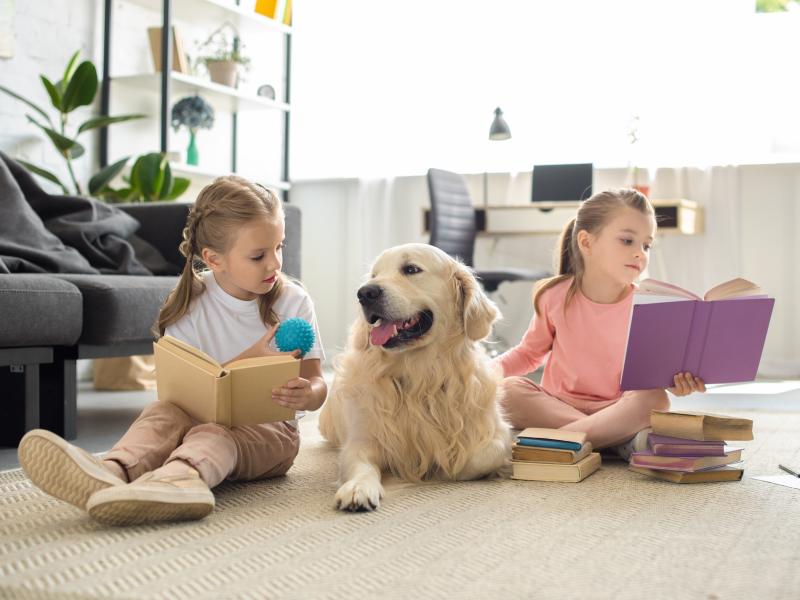 Børn læser med hund