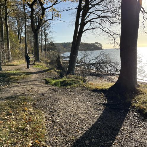 Skov og strand langs Gendarmstien